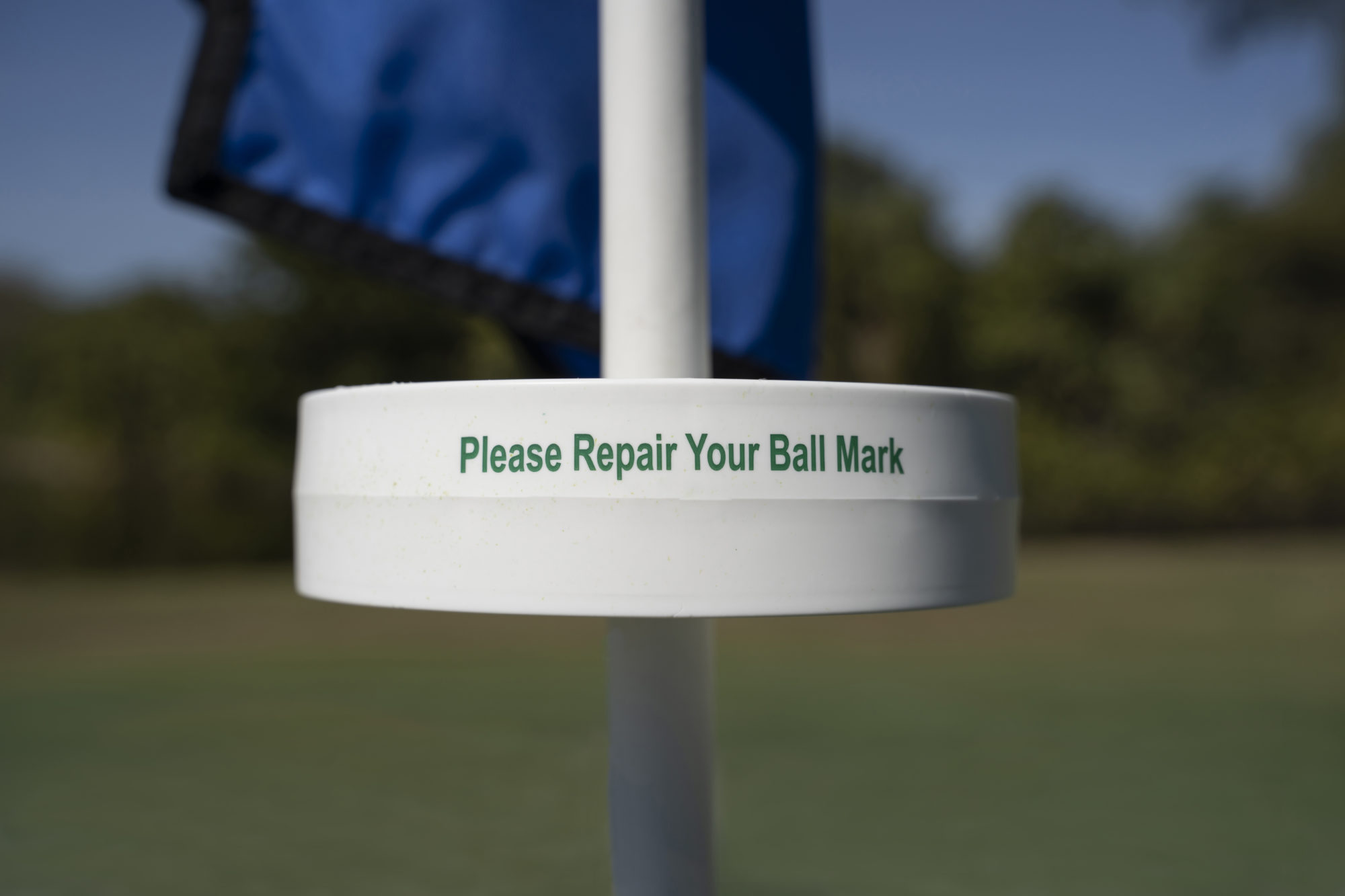 please repair your ball mark